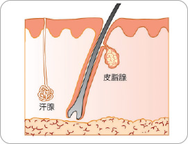 大量の汗！究極のデトックス！