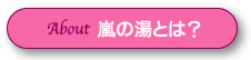 嵐の湯とは？