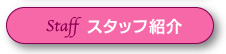 スタッフ情報