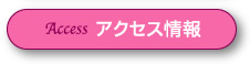 アクセス情報